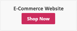 E-Commerce Website