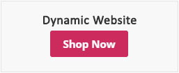 Dynamic Website